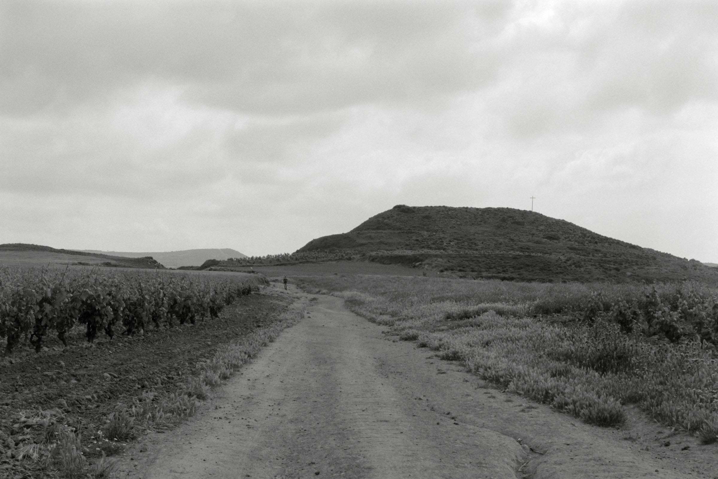 AHP F1995 05 007 sc240826 img35 NLP